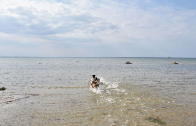 Bungalow in Klein Strtsmkendorf - Foto 34