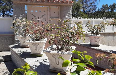 Villa MarHel Arbatax - Foto 3