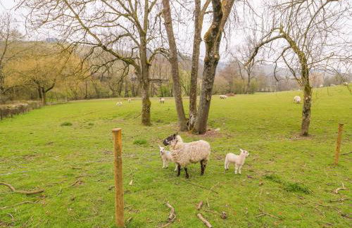 Pines Pitch - Foto 30