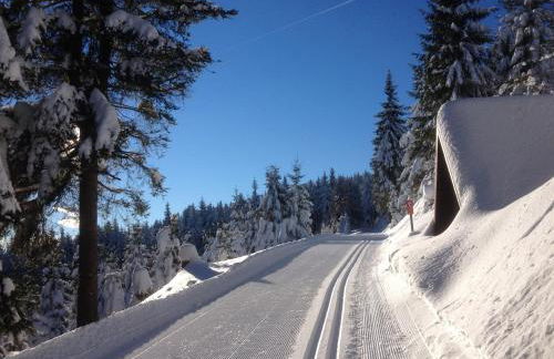 Ferienhaus Mummelhaus - Foto 24