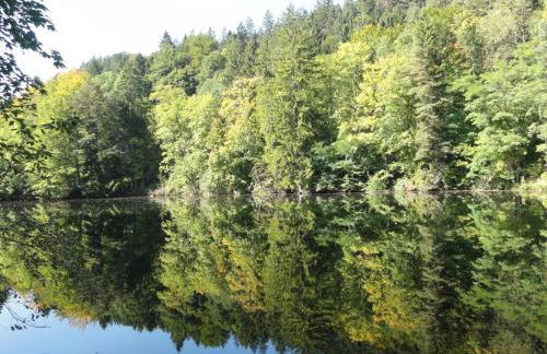 Apartment am Rosengarten by Interhome - Foto 33