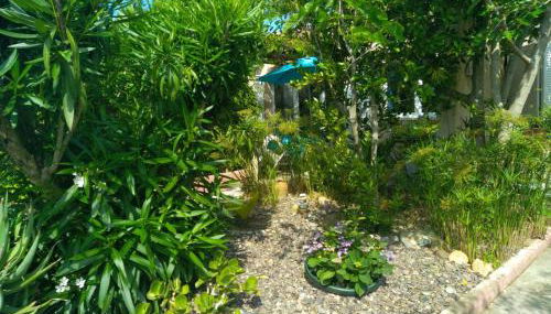 Le Râteau Bavoir - Foto 3, Garden, Garden view