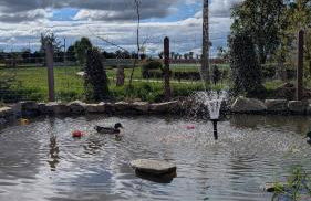 Gîte des champs étoilés - Photo 46