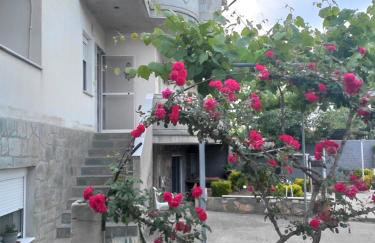 Rania House - Photo 27