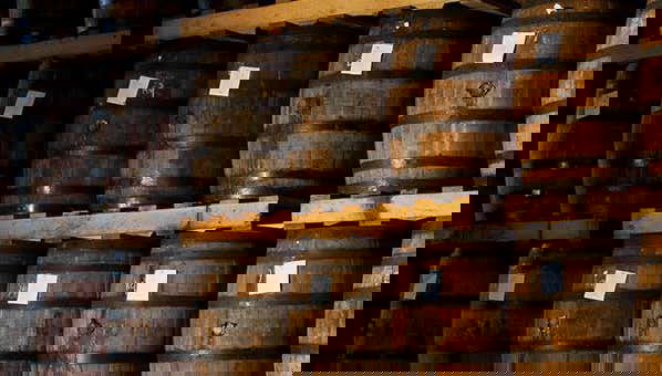 Barceló Rum Historical Centre Tour