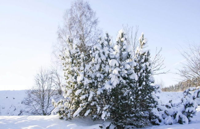 Ferienwohnung Hexenzauber I in Braunlage - Foto 39