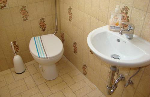 Goldener Fuchs in Moschendorf - Foto 25