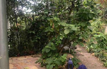 Brühl, FeWo am Heider Bergsee - 3 Sterne DTV - Foto 8