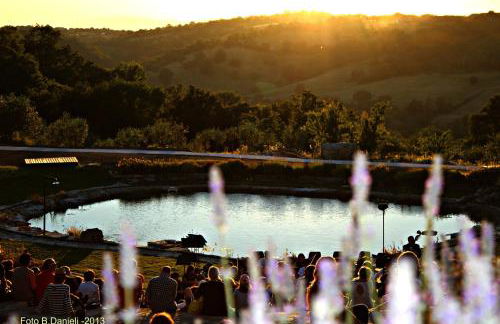 Sasseta Alta - Foto 35