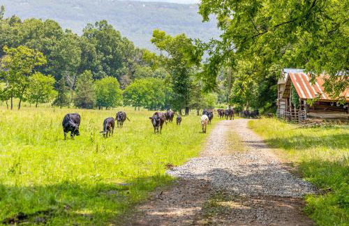 Quail Run Farm Pool Home - Foto 38