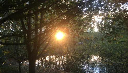 Rose cottage - Foto 5