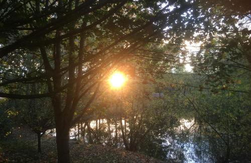 Rose cottage - Photo 5