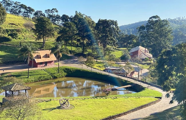 Fazenda Realeza - Foto 78