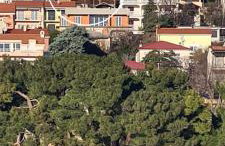 Apartments Klara - Photo 1