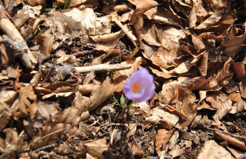 a casa di Franco - Foto 30