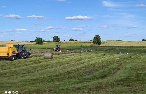 Pokoje. Apartament w Oklinach - Foto 12