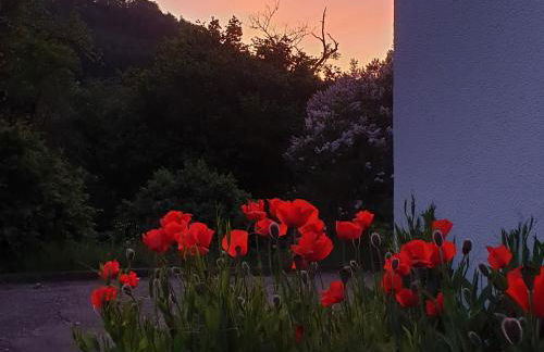 Ferienwohnung Felsenblick - Foto 35