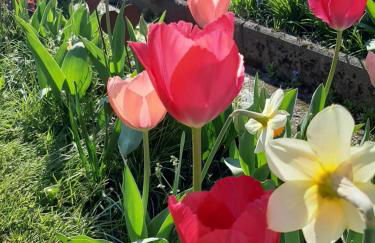 Ferienwohnung Morgensonne - Foto 2