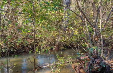 Les Girouteaux La bergerie - Photo 33