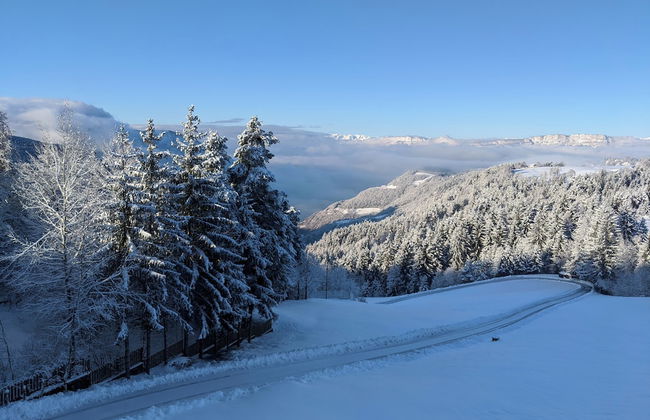 Vidora Apartments - Foto 78