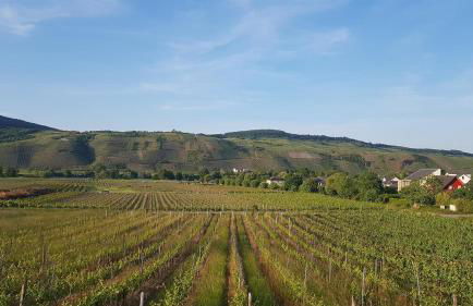 Ferienwohnung "Auf Plandert" - Foto 12