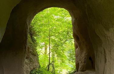 Paradies in der Vulkaneifel mit Panorama-Blick - Foto 34