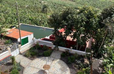 Banana House - Foto 12