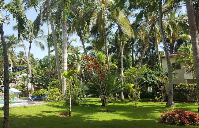 Oasis Hotel Las Terrenas - Foto 45