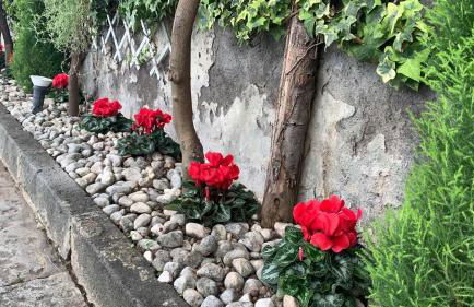 Pompei Duplex Apartment Deluxe - Photo 14