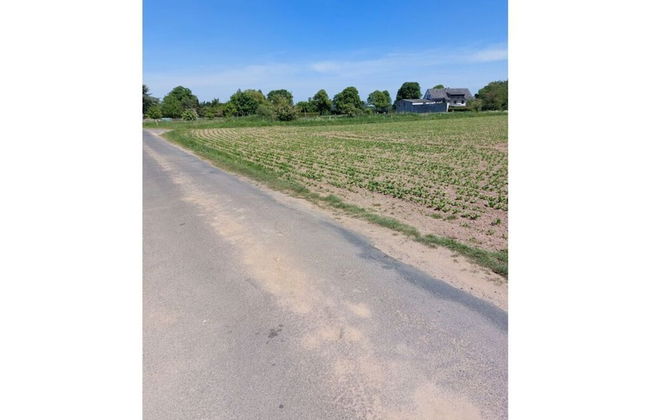 Sunshine Comfortable Holiday Residence - Photo 2