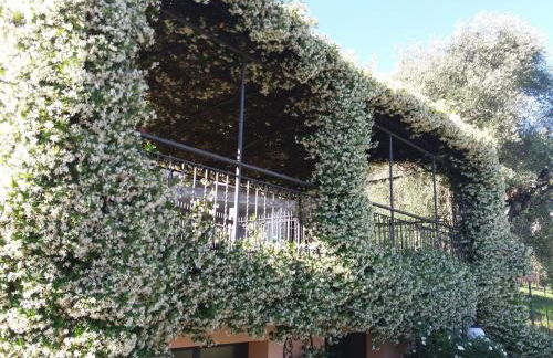 Casa Intignano - appartamento con terrazzo vista lago - Foto 62