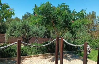 Finca Mis Morenas - Foto 34