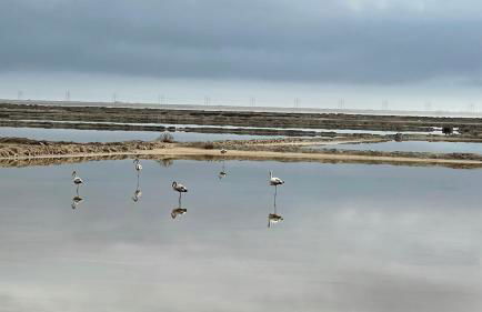 Duplex proche mer, avec swimspa terrasse, jardin et barbecue - Foto 33