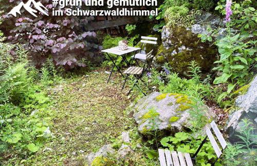 Schwarzwaldhimmel - Foto 20