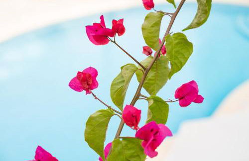 Apartamentos Los Tilos - Foto 6