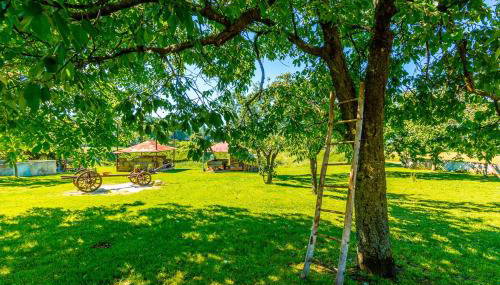 House Grande - Foto 3, Other