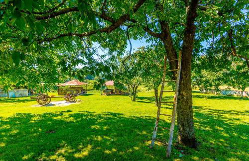 House Grande - Foto 3