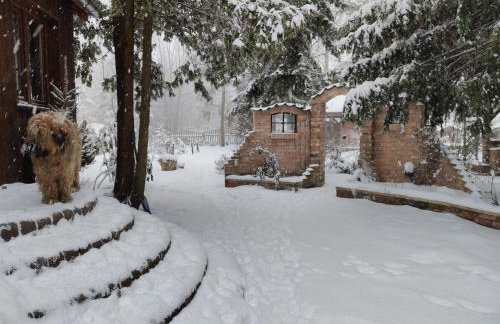 Dziki brzeg Jezioraka - Foto 43