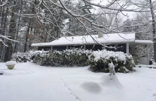 Enchanted Woodstock Cottage with hot tub - Foto 23