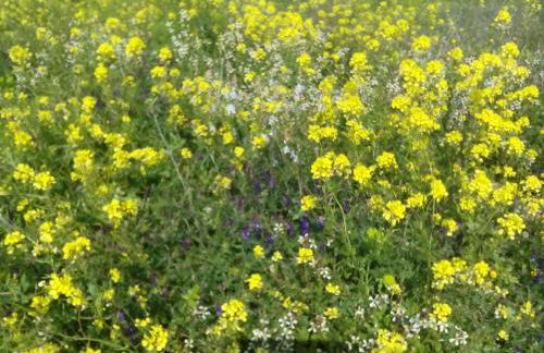 Seabreeze Home - Foto 22