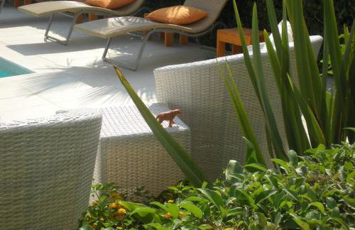 Manolis' House - Foto 37