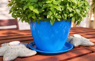 Emma's HOUSE near beach - Foto 11