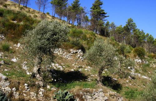 Sentieri Luminosi - Foto 26