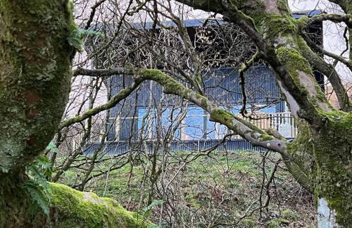 Luxury Lodge In The Treetops - Foto 31