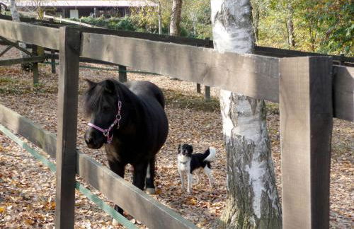 Holiday Home La Bertolina by Interhome - Foto 53