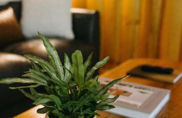 "Rocky Top" - Cozy RRG Cabin off Slade Exit! - Foto 7