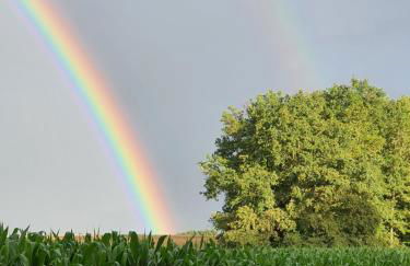 Gite de la Guernouille - Foto 32