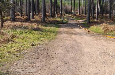 The Shambles by Spires justn3 miles from Birches Valley visitors centre home to MTB trails Follow the Dog and the Monkey Trail - Foto 10