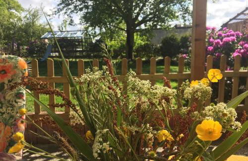 Minsener Warft - Photo 7