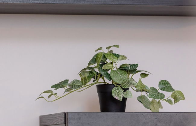 Apartment With Garden by Renters - Photo 46